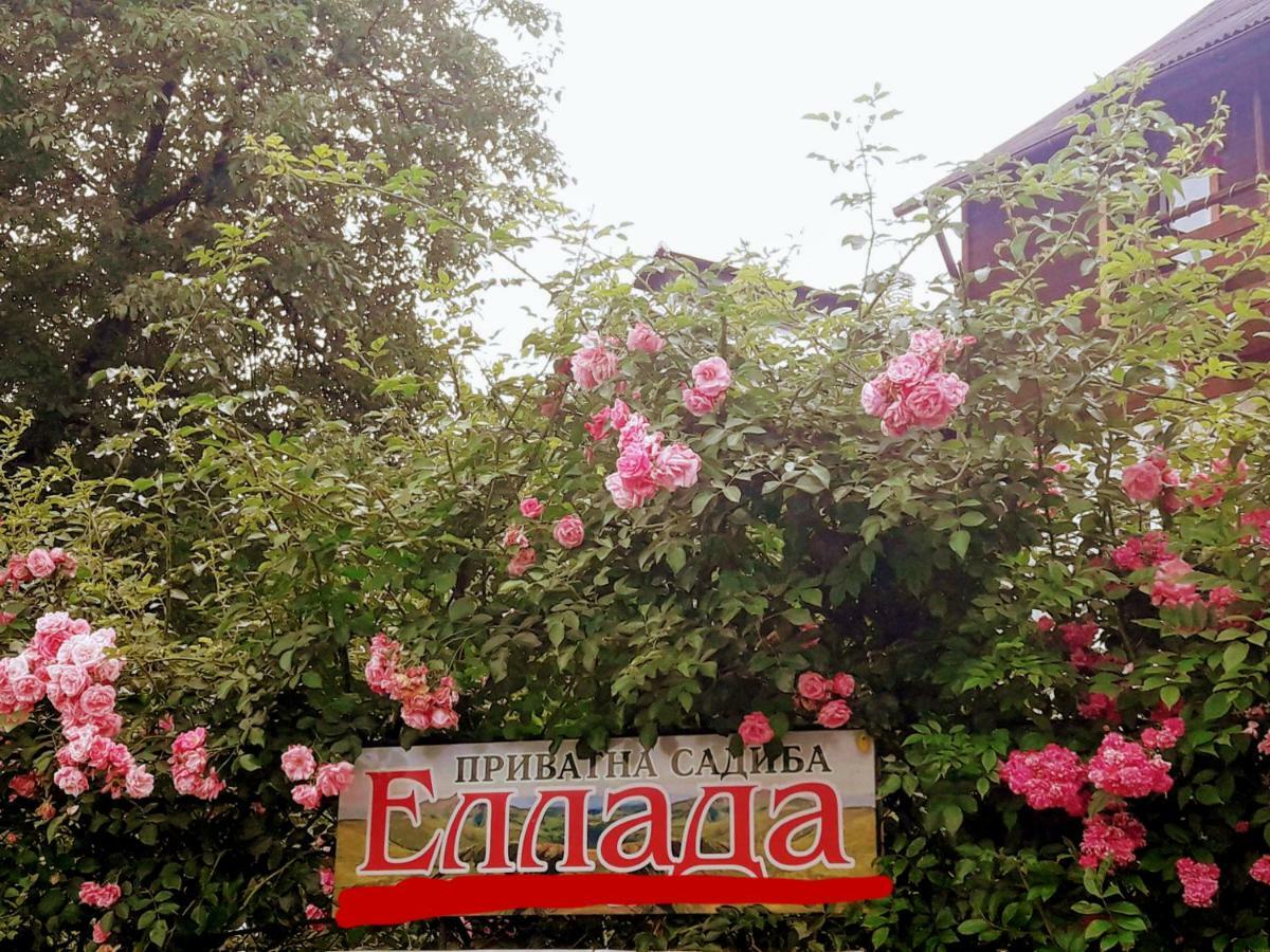 Sadyba Ellada ياريمتشي المظهر الخارجي الصورة
